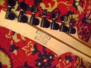 DSC01781.jpg