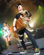 Bass-Players-Carrying-Dogs-03-685x856.jpg