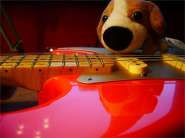 Warmoth Strat-13.jpg