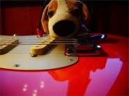 Warmoth Strat-14.jpg