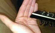 WP_20140603_007.jpg