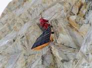 336909-1