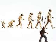 evolution������.jpg