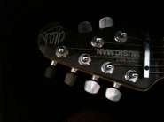 evh3.jpg