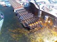 IMG802.jpg