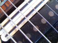IMG813.jpg