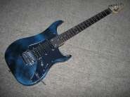 Vigier.JPG