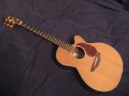Takamine 1.jpg