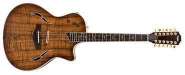 gp0607_Gear_taylor2_nr.jpg