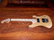 Washburn_N4_USA_Custom.jpg