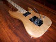 Washburn_N4_USA_Custom_2.jpg