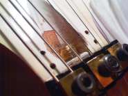 IMG766.jpg