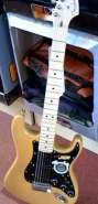 Fender.jpg