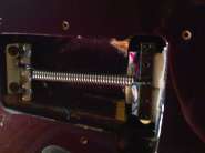 IMG156.jpg