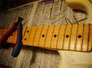 F.Strat 2005-5.jpg