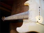 F.Strat 2005-10.jpg