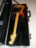 P1010060-webbig.jpg