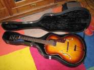Godin 5th Avenue + кейс(акустика с датчиком) 338546-0