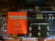 DSC01800.jpg