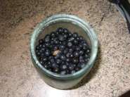 blackberry.jpg