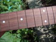 ����������� 494.jpg