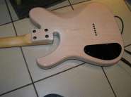 alvarez dana back.JPG