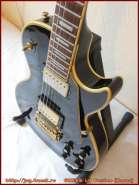 greco_lp_custom_4.jpg