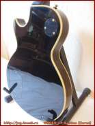 greco_lp_custom_8.jpg