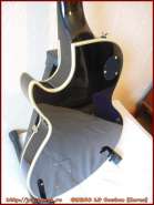 greco_lp_custom_9.jpg