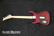 SAM_6070.jpg