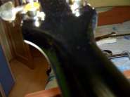 100_4025.jpg