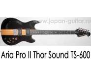 3 ������ Aria Pro II Thor Sound TS-600.jpg