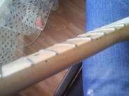 ���� 0141.jpg