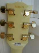 PICT7082.jpg