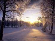 Fresh Fallen Snow, Arctic Valley, Alaska2.jpg