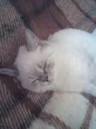 Resize of 08-10-07_2134.jpg