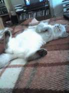 Resize of 22-10-07_1407.jpg