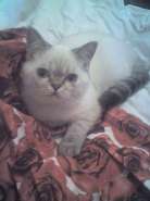 Resize of 29-10-07_2257.jpg