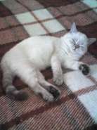 Resize of 30-09-07_1627.jpg