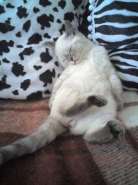 Resize of 30-09-07_1700.jpg