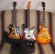 Boss & guitars 1.jpg