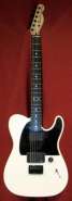 Fender Jim Root Telecaster.jpg