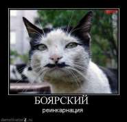 boyarskij-.jpg