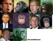 curiousgeorge.jpg
