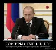 1270142632_auxm82ourabq.jpg