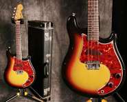 fender mandocaster.jpg