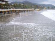 ������ 2009_1.jpg