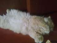 26062013222.jpg