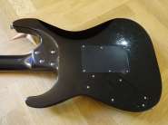 DSC00550.jpg