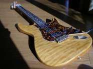 Fujigen Anboy Odyssey.jpg